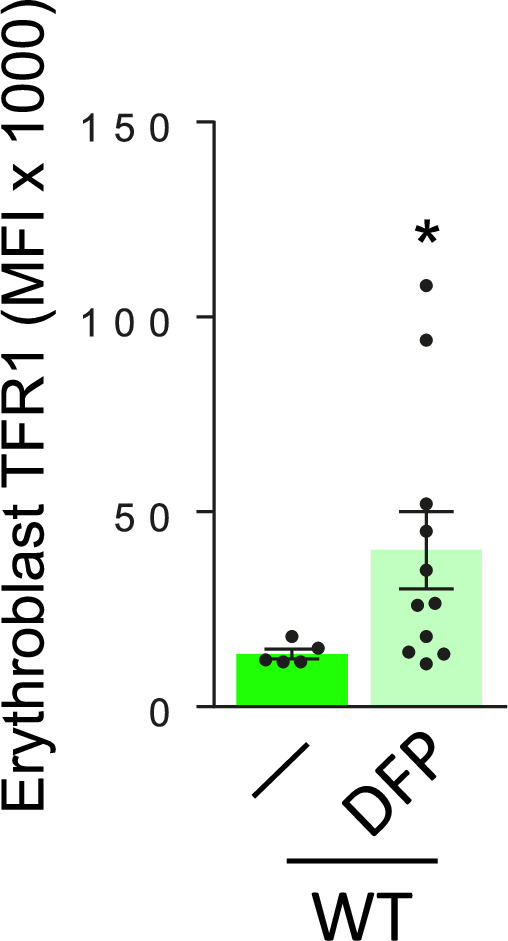 Figure 6—figure supplement 1.