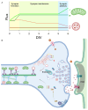 Figure 9:
