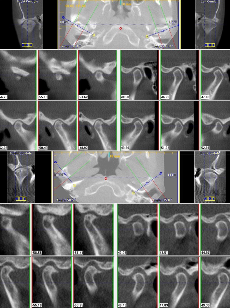 Fig. 3