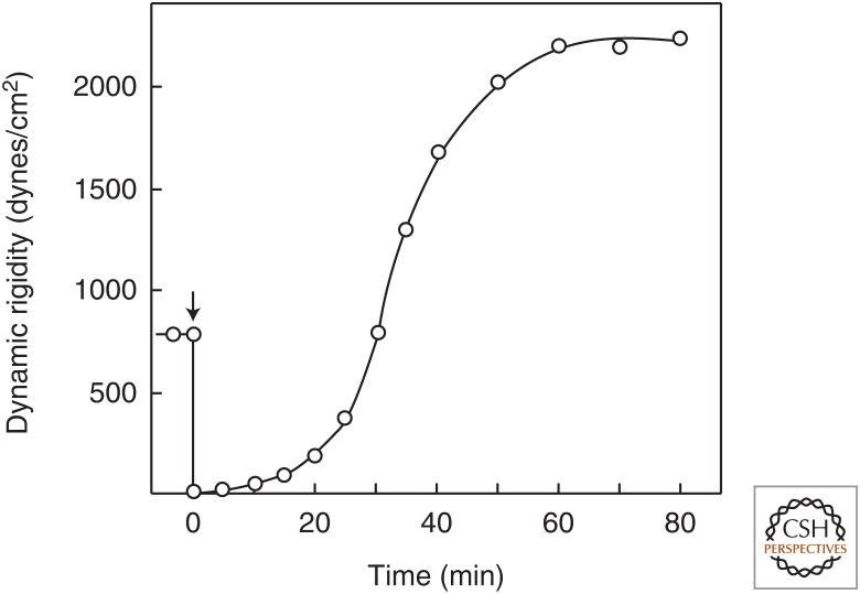 Figure 5.