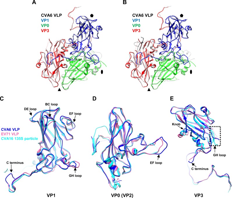 FIG 6