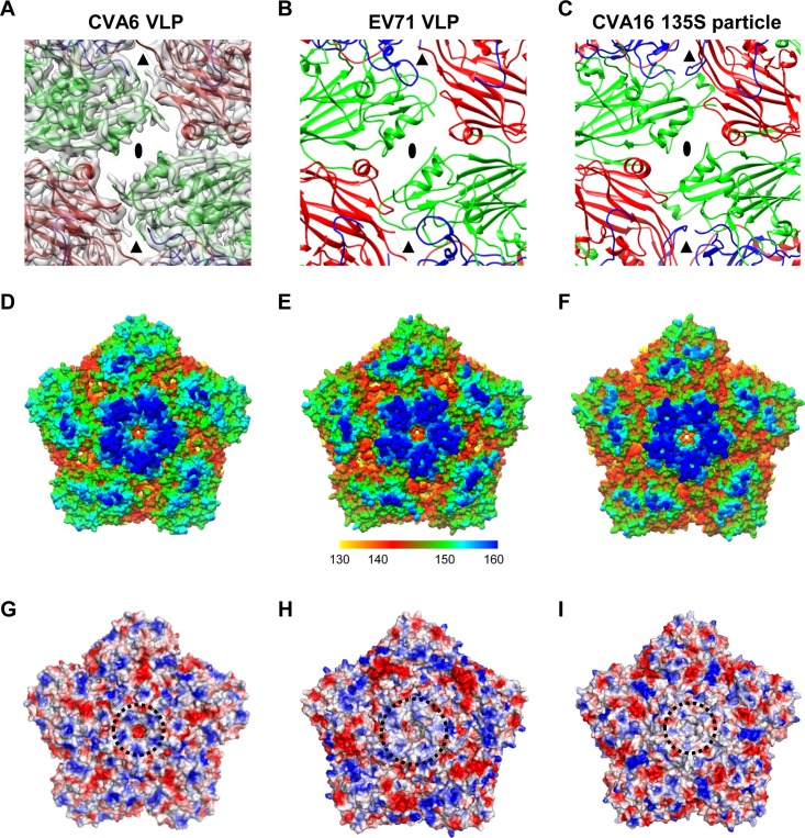 FIG 3