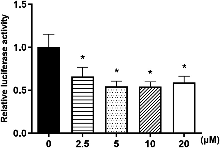 FIGURE 9