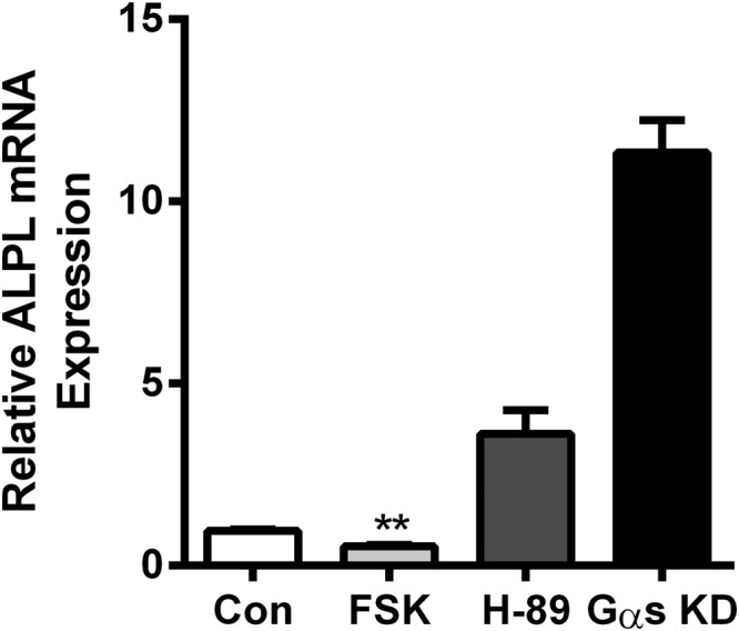 Figure 7.