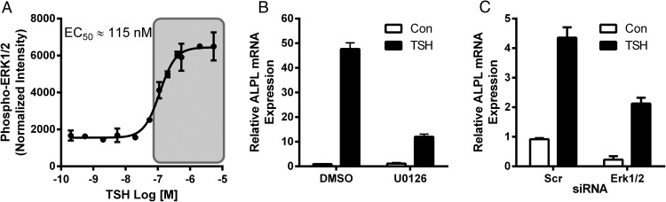 Figure 9.