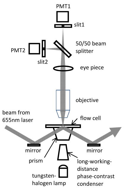 Fig. 1