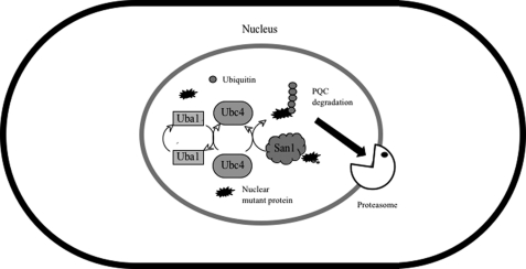 FIGURE 10.