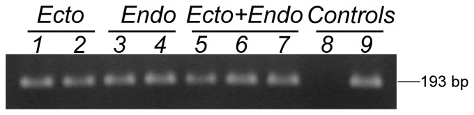 Figure 7