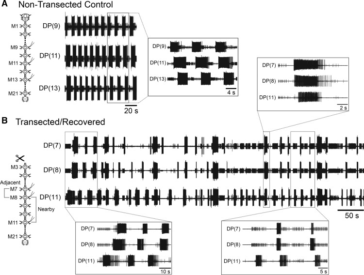 Figure 2.