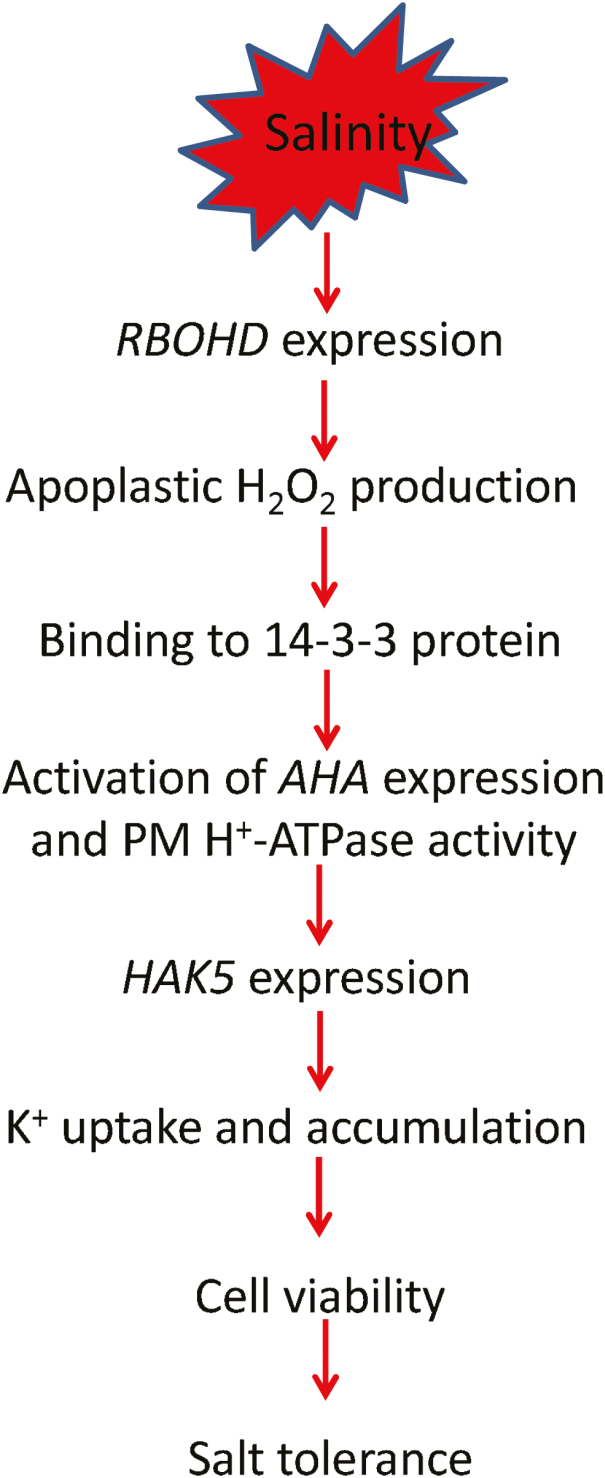 Fig. 10.