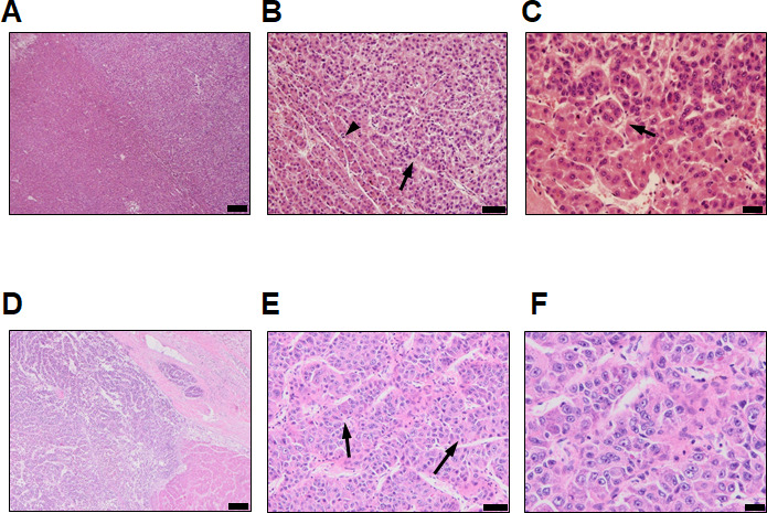 Figure S1.