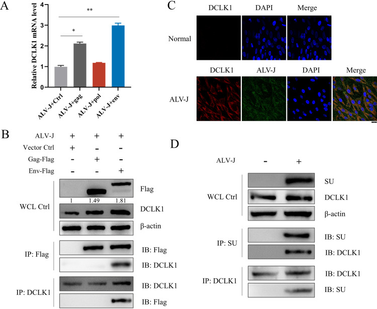 FIG 3