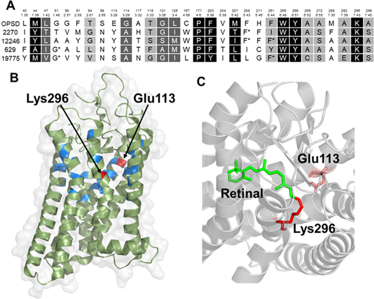 Fig 3