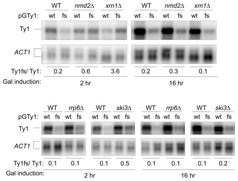 Fig 3