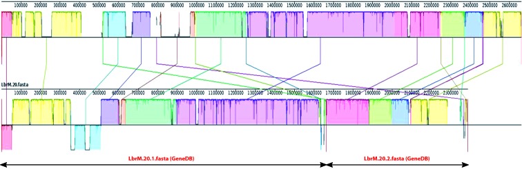 Fig. 3: