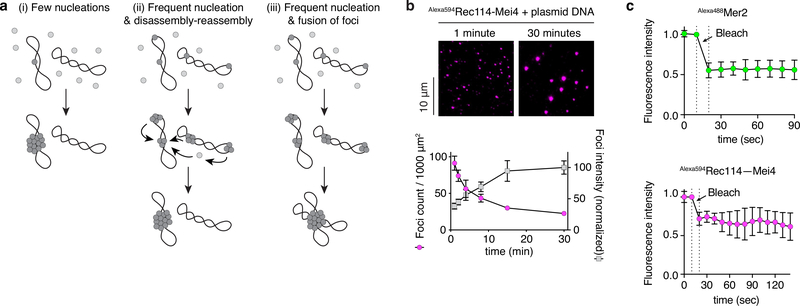 Extended Data Fig 5: