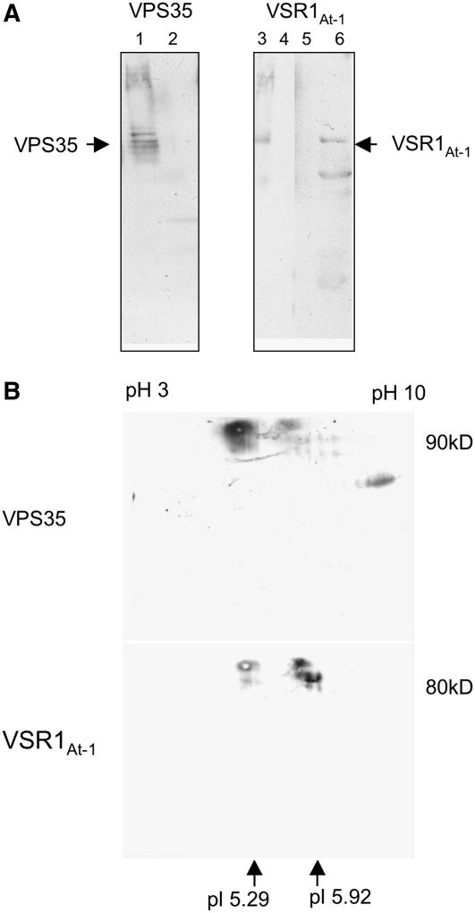 Figure 11.