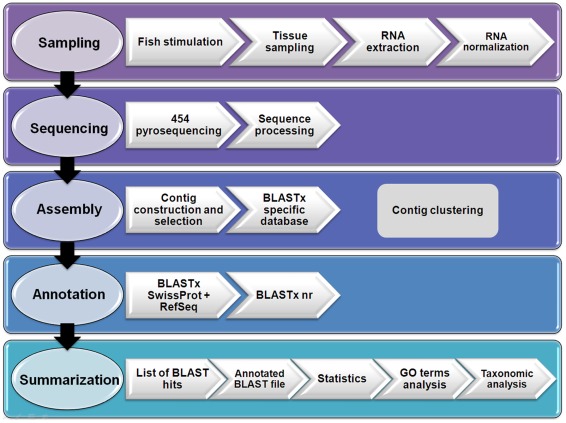 Figure 12