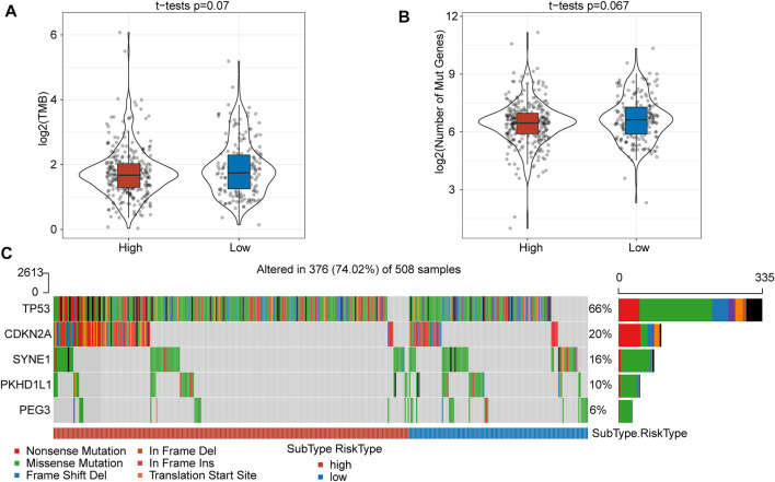 FIGURE 3