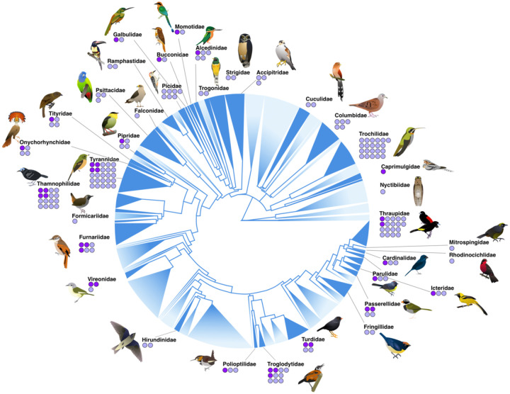 Figure 2: