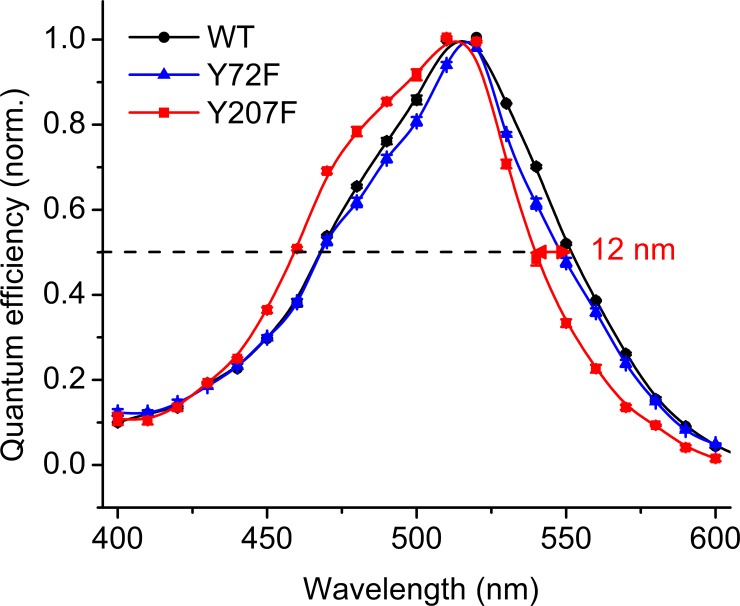 Figure 5—figure supplement 1.