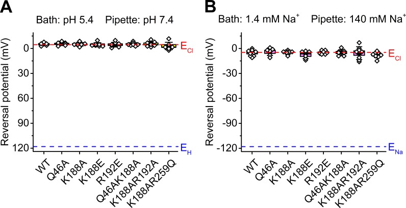 Figure 3—figure supplement 9.