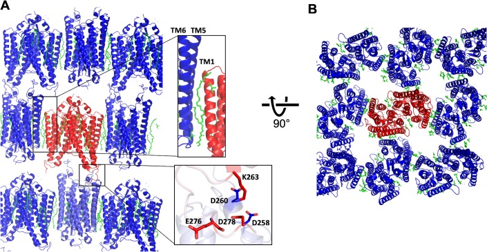 Figure 1—figure supplement 2.