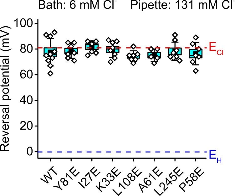 Figure 3—figure supplement 4.