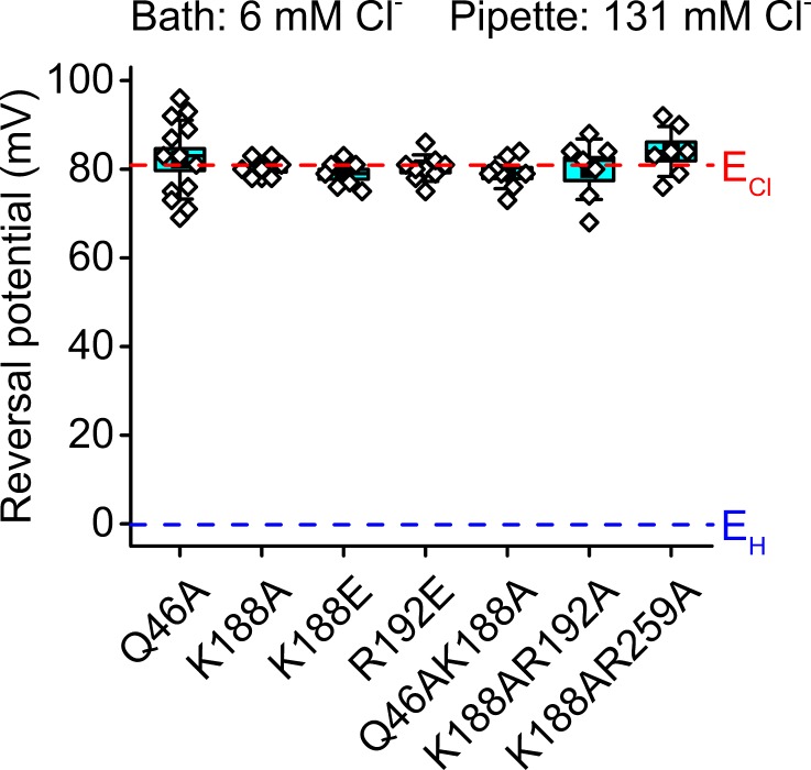 Figure 3—figure supplement 6.