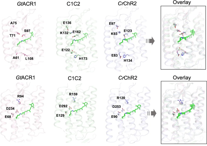 Figure 2—figure supplement 2.