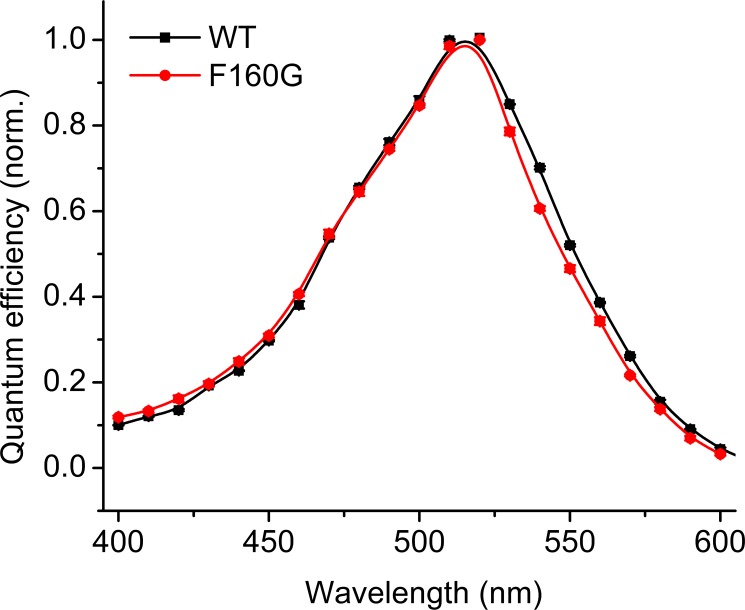 Figure 4—figure supplement 1.