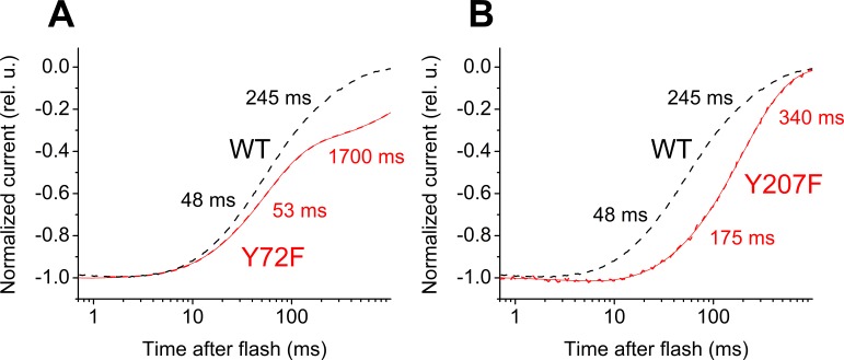 Figure 5—figure supplement 2.