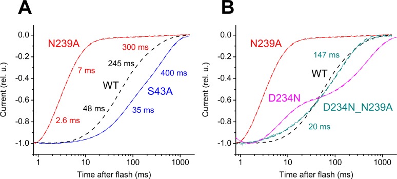 Figure 5—figure supplement 3.