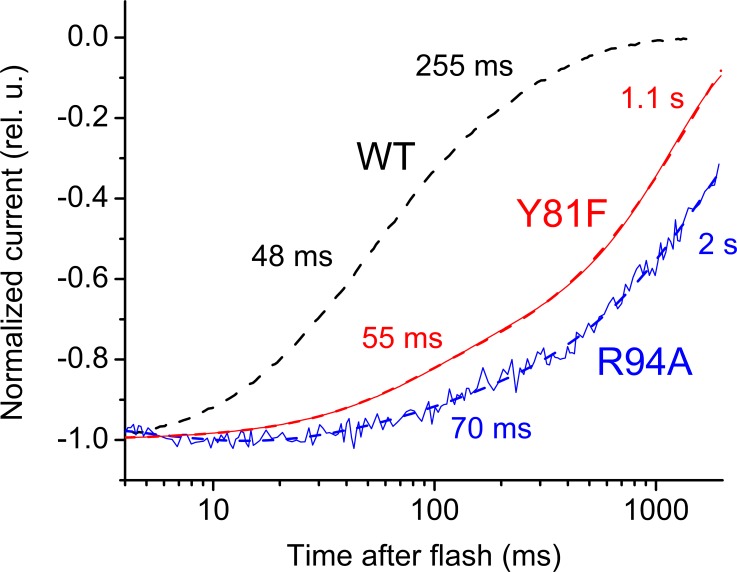 Figure 3—figure supplement 1.