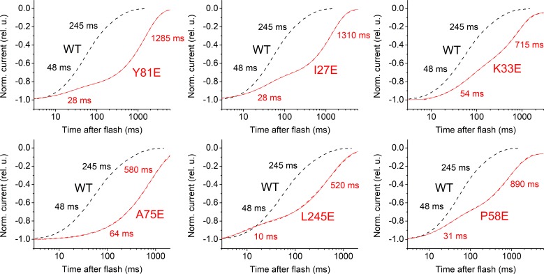 Figure 3—figure supplement 2.