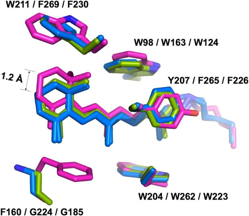 Figure 4.