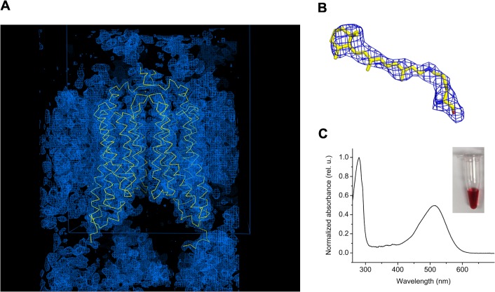 Figure 1—figure supplement 1.