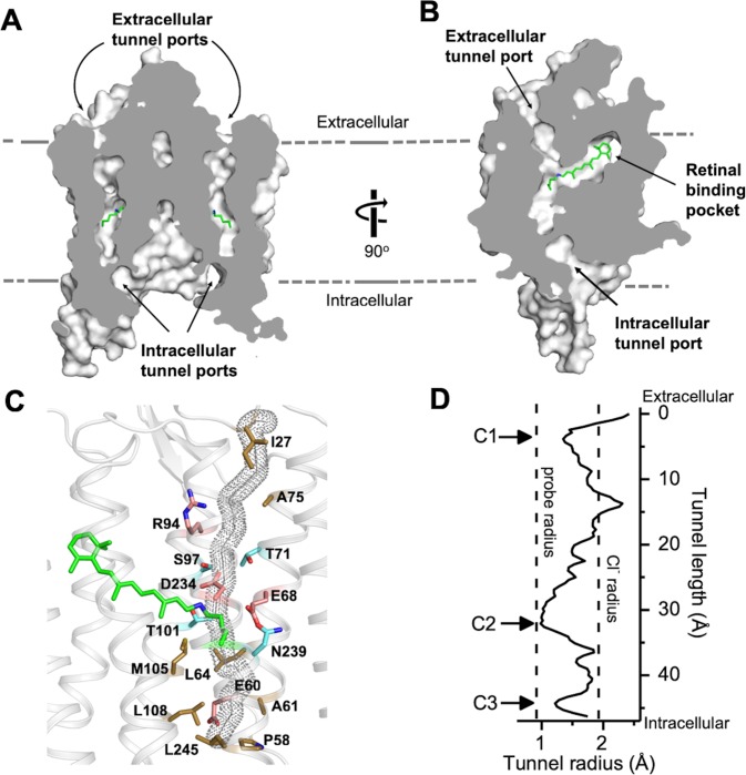 Figure 2.