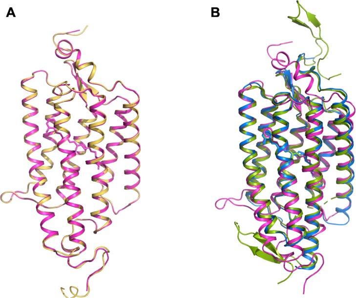 Figure 1—figure supplement 3.