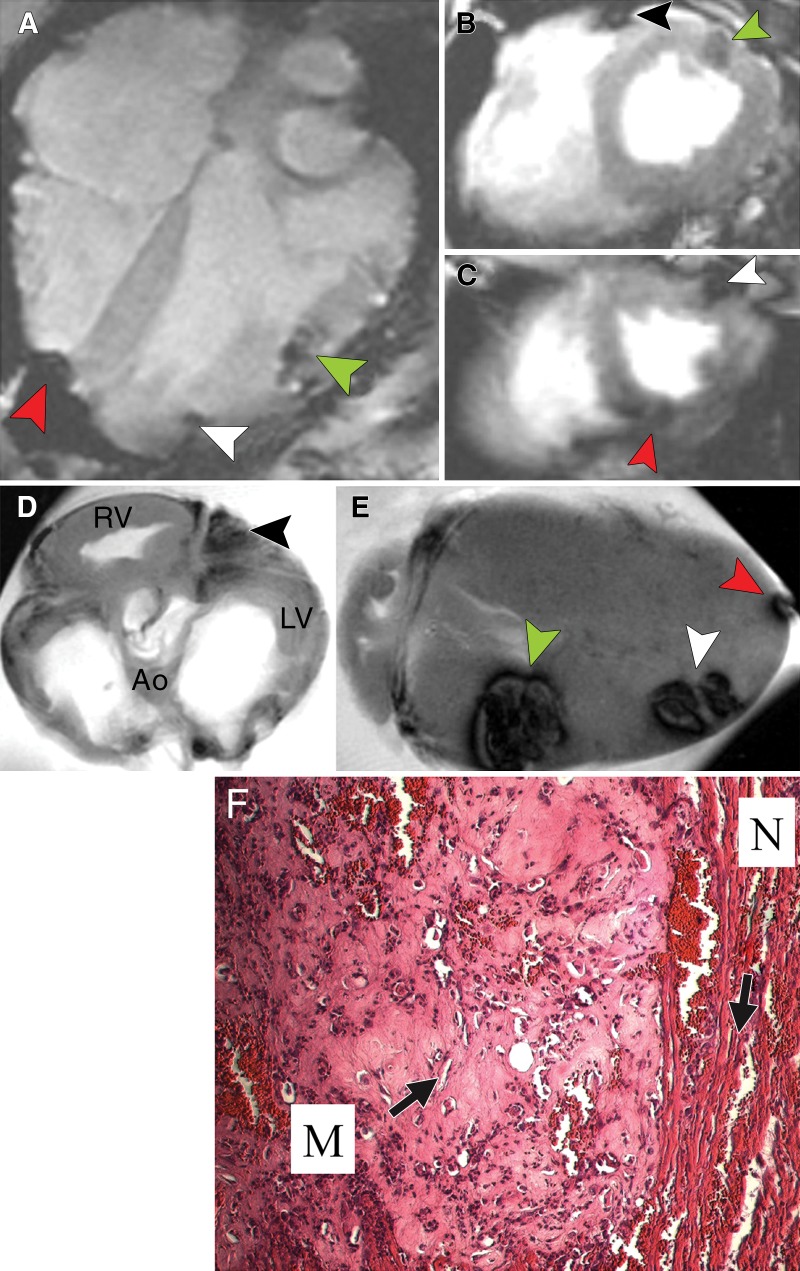 Figure 3: