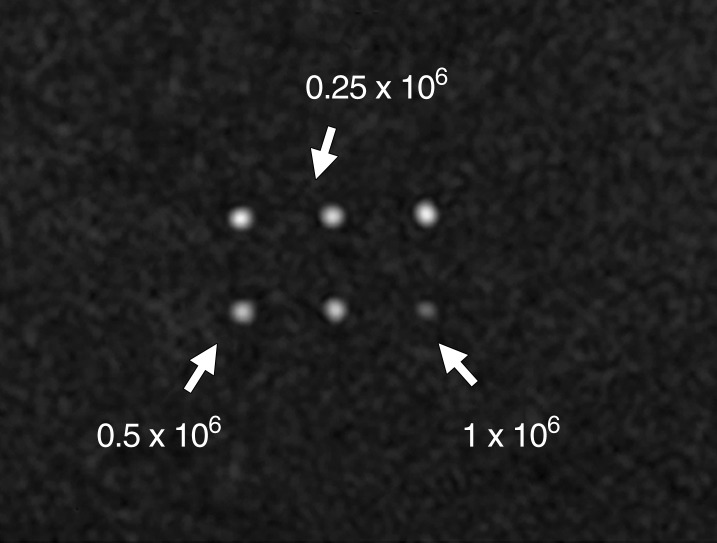 Figure 2b: