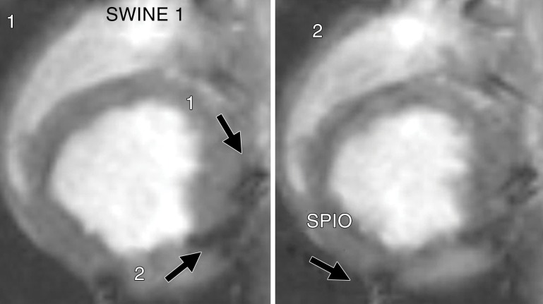 Figure 4a: