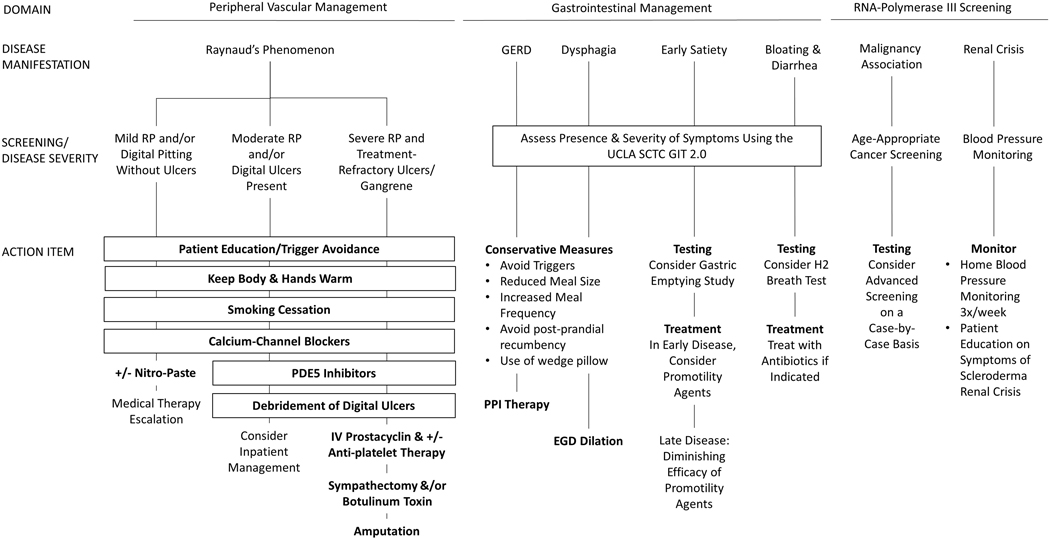 Figure 1b: