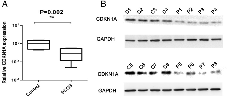 Figure 5.