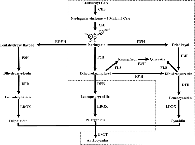 Figure 1.