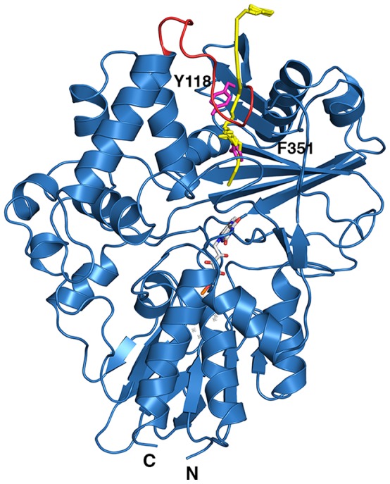 Figure 4