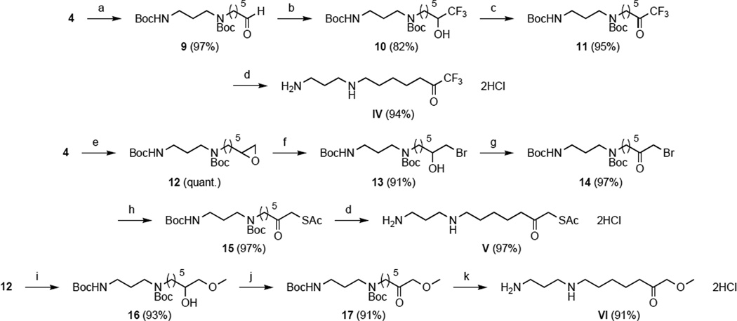 Scheme 3