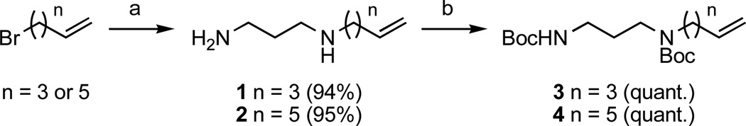 Scheme 1