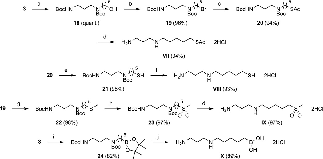 Scheme 4