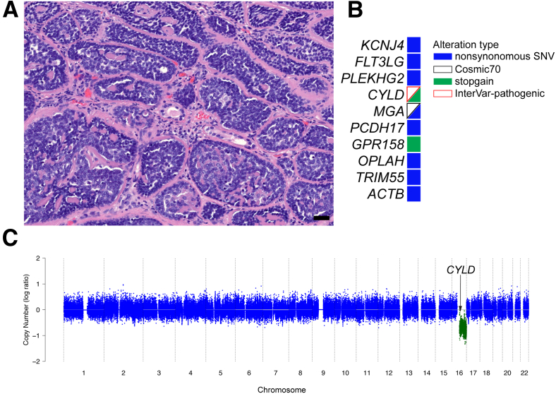 Figure 2